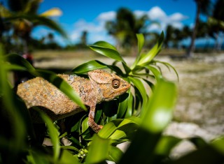 Bild 28110 von Haus Miavana