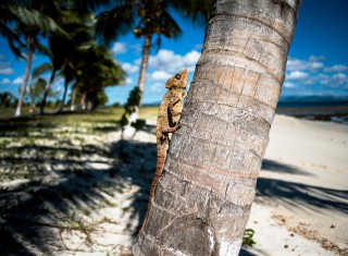 Bild 28111 von Haus Miavana