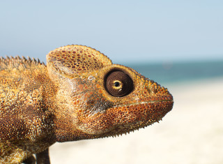 Bild 28115 von Haus Miavana