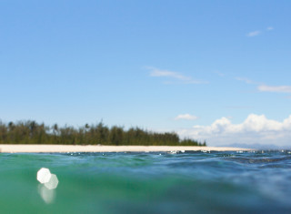 Bild 28118 von Haus Miavana