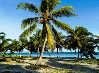 Bild 28121 von Haus Miavana