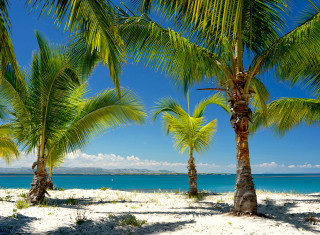 Bild 28321 von Haus Miavana