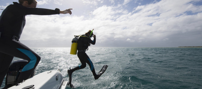 Bild 34488 von Haus Miavana