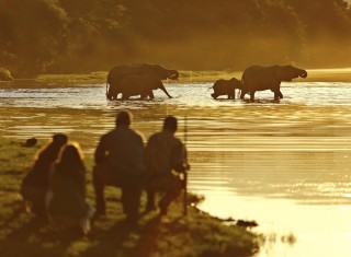 Bild 28157 von Haus Chongwe Safaris