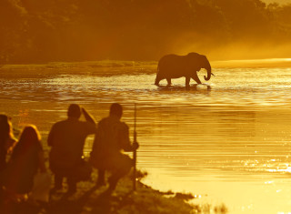 Bild 28163 von Haus Chongwe Safaris