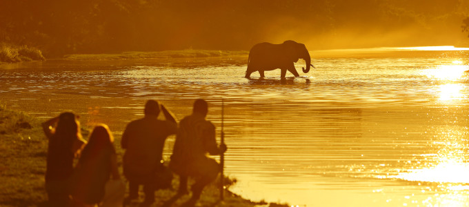 Bild 28163 von Haus Chongwe Safaris