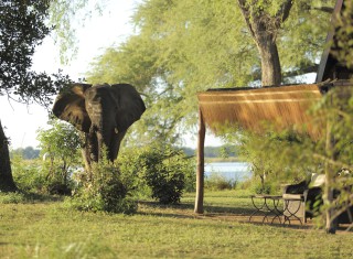 Bild 28368 von Haus Chongwe Safaris