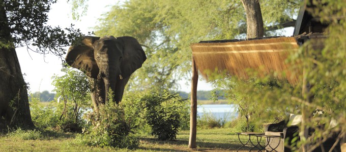 Bild 28368 von Haus Chongwe Safaris