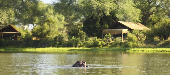 Bild 28370 von Haus Chongwe Safaris