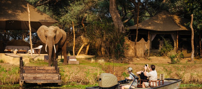 Bild 28392 von Haus Chongwe Safaris