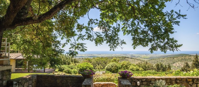 Bild 38039 von Haus Villa Fanelli