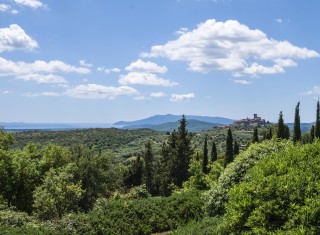 Bild 38044 von Haus Villa Fanelli