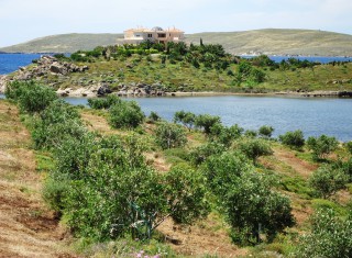 Bild 28659 von Haus Villa Talos 