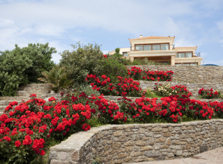 Bild 28715 von Haus Villa Talos 