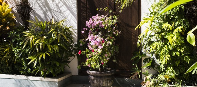 Bild 30629 von Haus Villa Arjuna