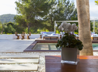 Bild 31933 von Haus Casa India Ibiza