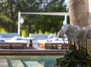 Bild 31934 von Haus Casa India Ibiza