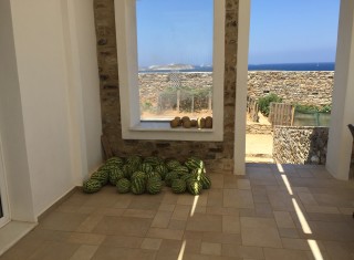 Bild 32244 von Haus Paradise Villa