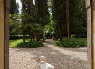 Bild 32263 von Haus Villa Amadeo