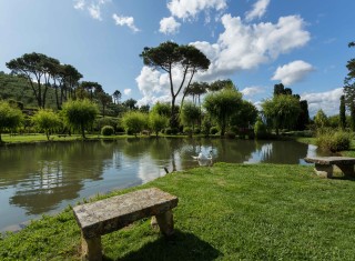 Bild 32280 von Haus Villa Amadeo