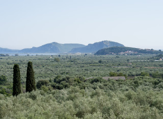 Bild 33103 von Haus The Olive Retreat