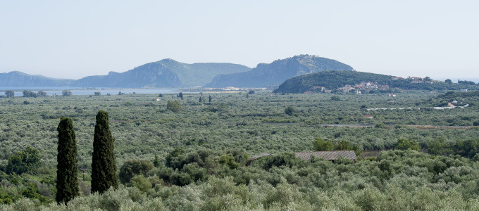 Bild 33103 von Haus The Olive Retreat