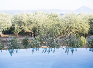 Bild 33116 von Haus The Olive Retreat