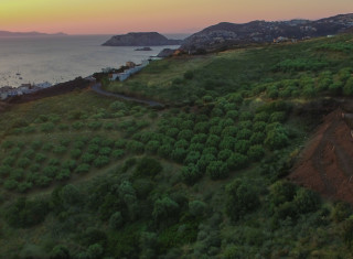 Bild 33444 von Haus Villa Kallia