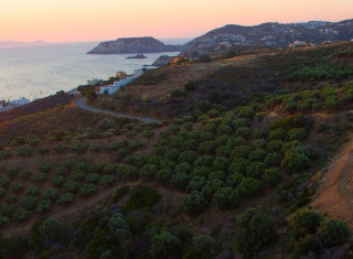 Bild 33447 von Haus Villa Kallia