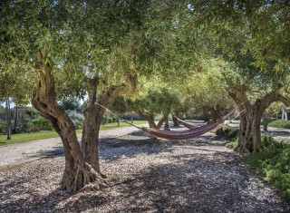 Bild 34390 von Haus Casa Faro Favignana