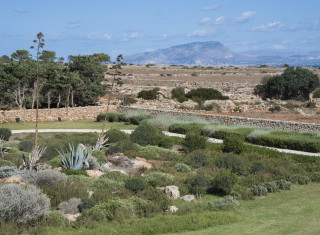 Bild 34401 von Haus Casa Faro Favignana