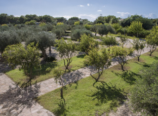 Bild 34404 von Haus Casa Faro Favignana