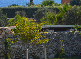 Bild 34430 von Haus Casa Faro Favignana