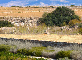 Bild 34431 von Haus Casa Faro Favignana