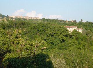 Bild 34635 von Haus Villa Cerqualto