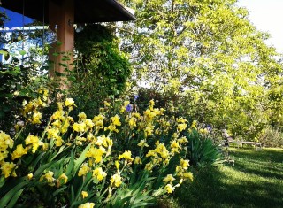 Bild 34729 von Haus Villa Cerqualto