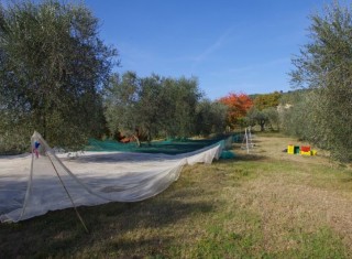 Bild 34737 von Haus Villa Cerqualto