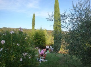 Bild 34747 von Haus Villa Cerqualto