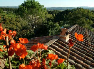 Bild 34778 von Haus Villa Cerqualto