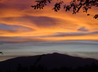 Bild 34779 von Haus Villa Cerqualto