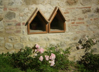 Bild 34825 von Haus Villa Cerqualto