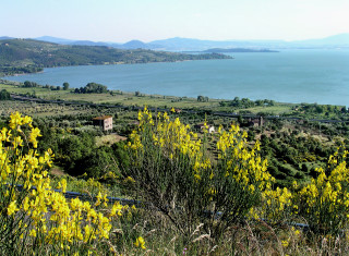 Bild 34839 von Haus Villa Cerqualto