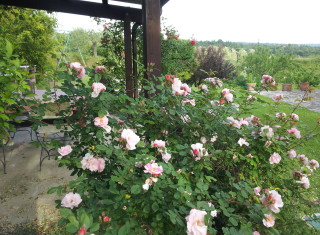 Bild 34843 von Haus Villa Cerqualto