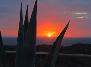 Bild 35082 von Haus SUNSET VILLAS