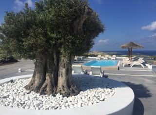 Bild 35193 von Haus SUNSET VILLAS