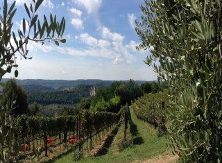 Bild 35365 von Haus Villa Tirrena Relais