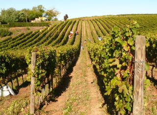 Bild 35367 von Haus Villa Tirrena Relais