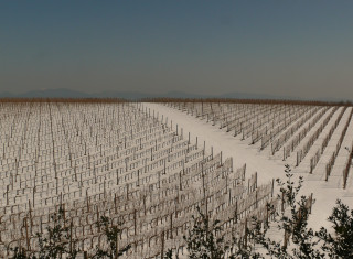 Bild 35385 von Haus Villa Tirrena Relais