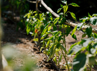 Bild 48926 von Haus Elounda The Villas Villa One