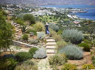 Bild 40392 von Haus Elounda The Villas Villa Two